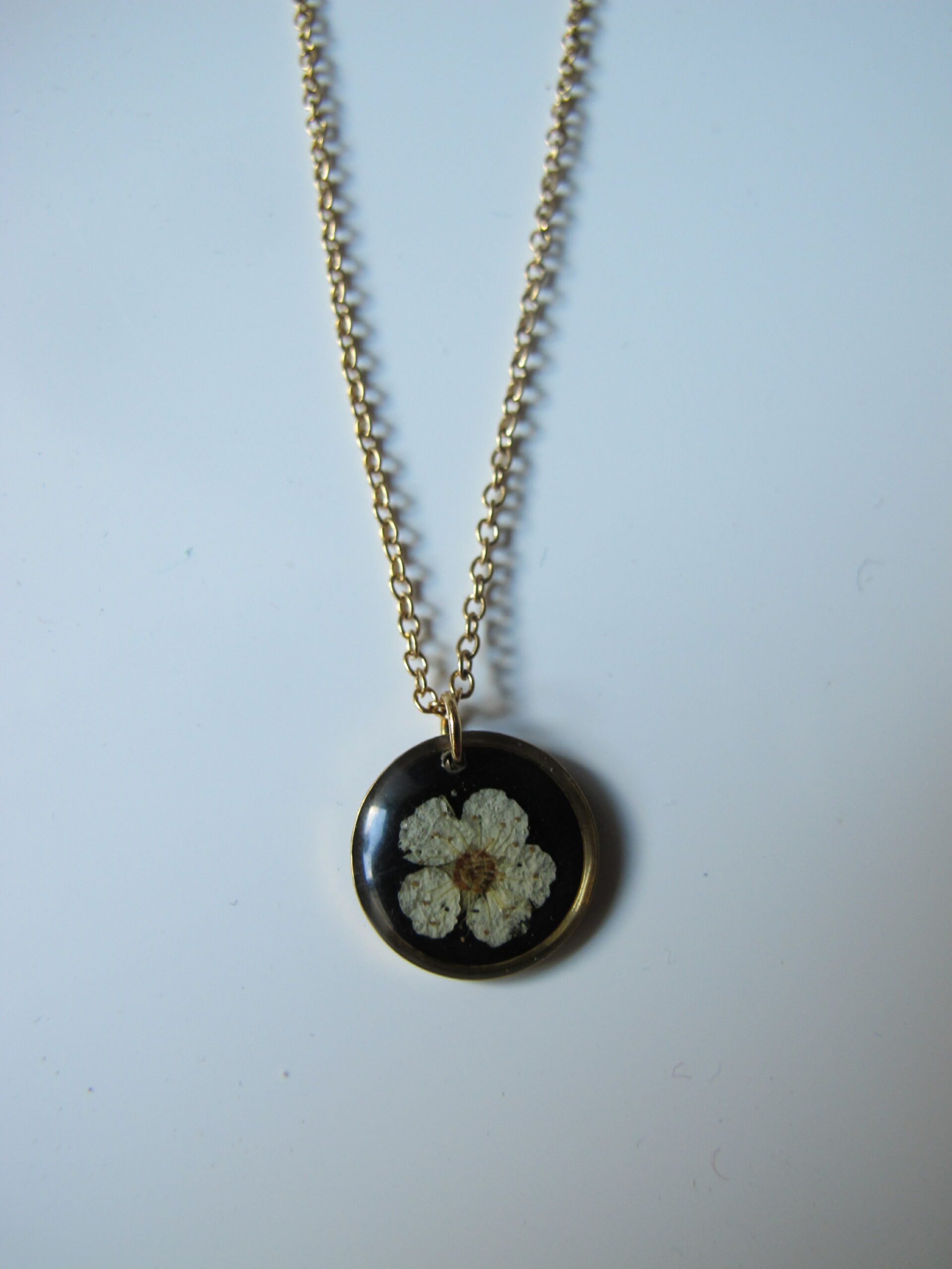 Fleur de spirée – Image 2