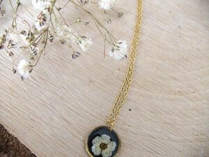 Fleur de spirée